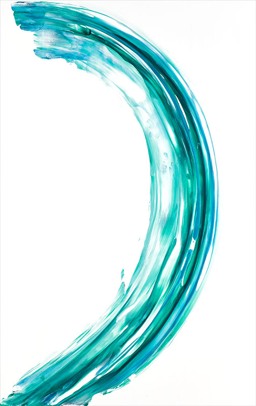 Swoop by Jennifer Mone Hill